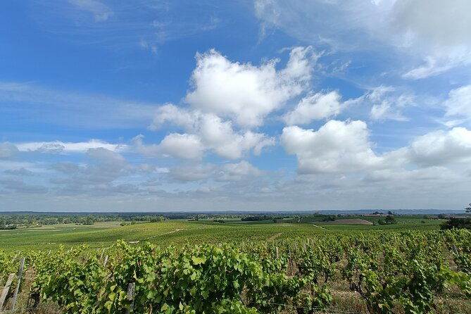 private-tour-in-the-sauternes-wine-region-discover-bordeaux-sweet-crus-classes