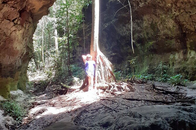 private-tour-of-iracema-and-asframa-waterfalls-in-manaus