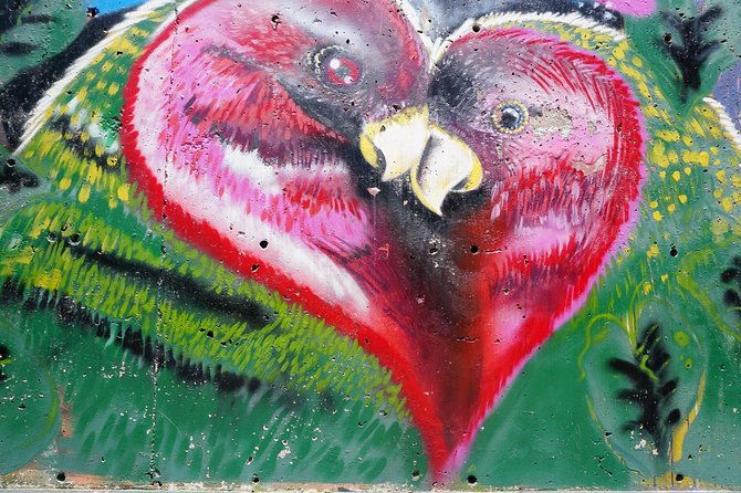 private-tour-street-art-in-medellin-urban-art-cultural-identity