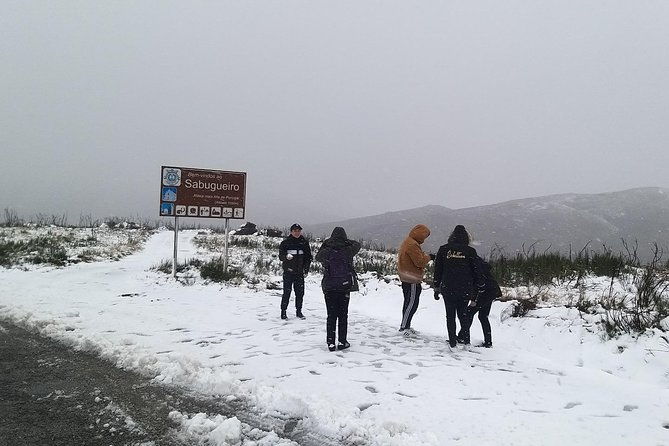 private-tour-through-serra-da-estrela-park-and-its-famous-cheese-2