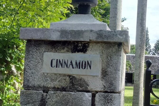 private-tour-to-cinnamon-hill-great-house-home-of-johnny-cash
