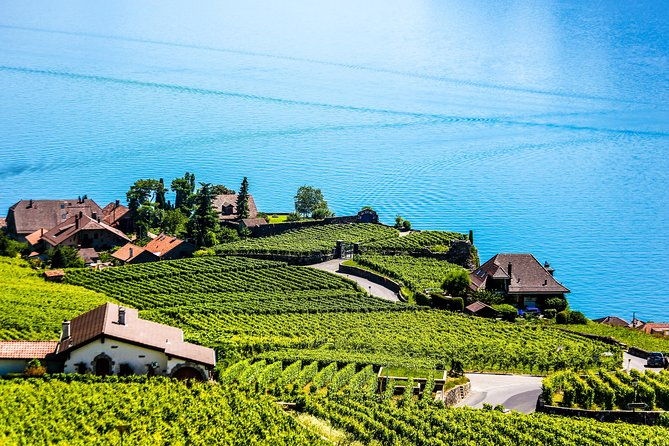 private-tour-to-gruyeres-chocolate-cheese-factory-from-geneva