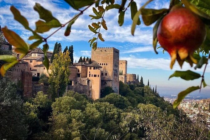 private-tour-to-the-alhambra-and-generalife-from-motril-port-2