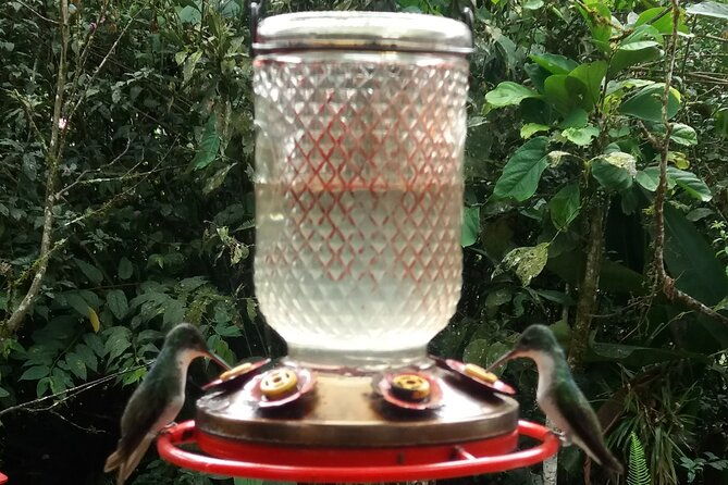 private-tour-to-the-hummingbird-reserve-and-visit-to-the-middle-of-the-world-from-quito