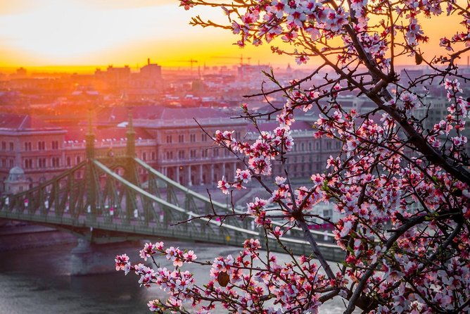 private-transfer-from-vienna-to-budapest-with-2-hours-for-sightseeing-2