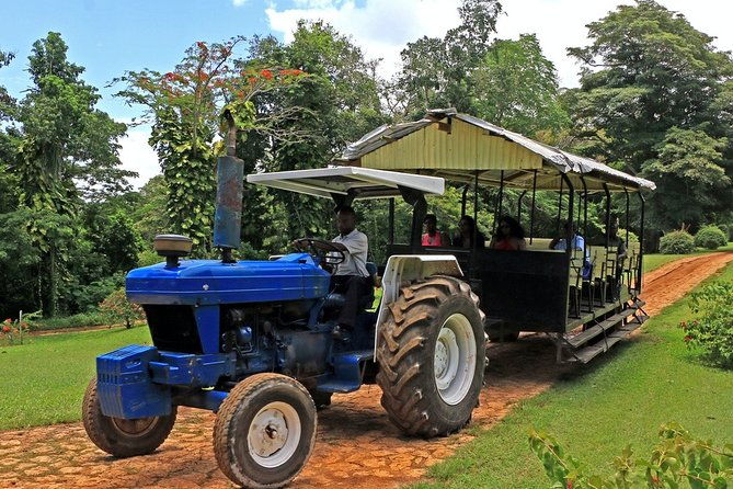 private-transfer-to-yaaman-adventure-park-from-ocho-rios