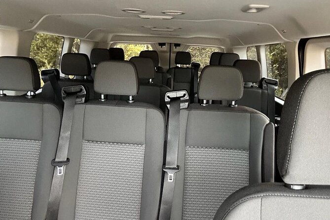 private-transfer-van-to-mco-disney-and-univ-up-to-14-passenger