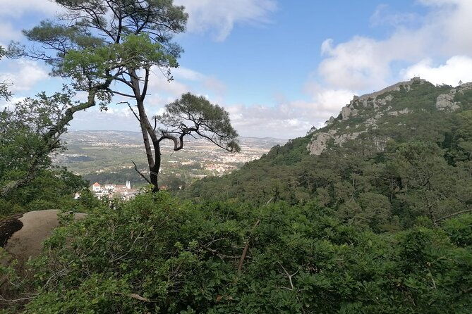 private-tuk-tuk-tour-through-serra-de-sintra