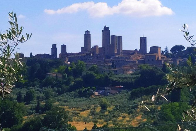 private-tuscan-cooking-class-and-wine-tasting-in-radda-in-chianti-with-giorgia
