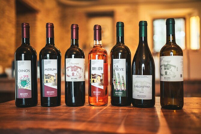 private-visit-to-the-brugnoni-winery-with-tasting-of-4-wines