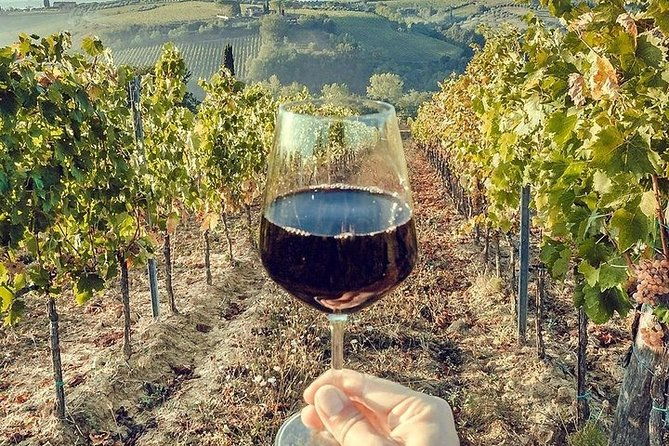 private-visit-to-the-cellars-of-etna-with-wine-tasting