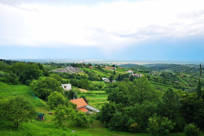 private-wine-tour-from-zagreb-two-local-wineries-samobor