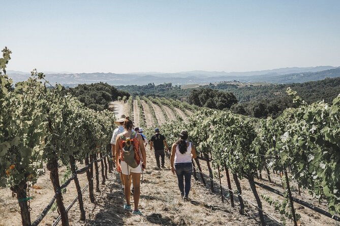 private-wine-tour-in-paso-robles