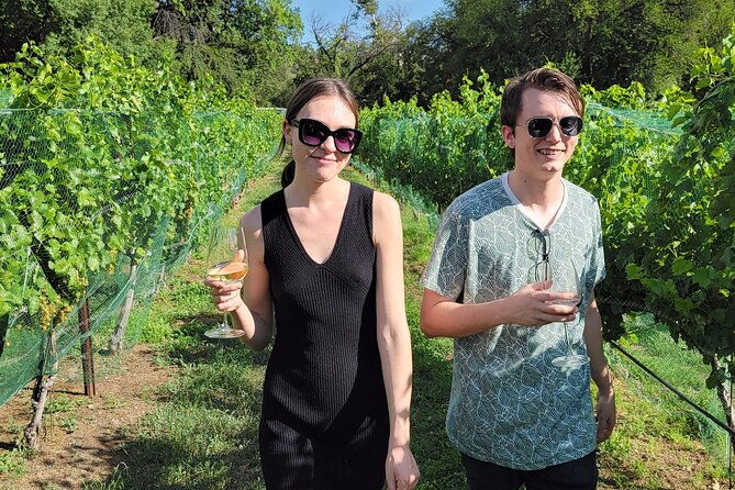 private-wine-tour-voted-best-in-town-tastings-included