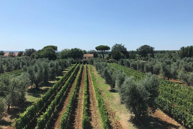 private-wine-tour-with-sommelier-the-magical-bolgheri-2-wineries
