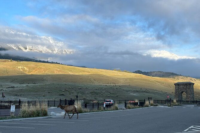 private-yellowstone-park-van-tours-from-bozeman