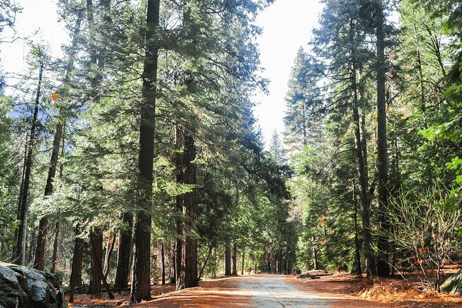 private-yosemite-national-park-day-trip-from-san-francisco
