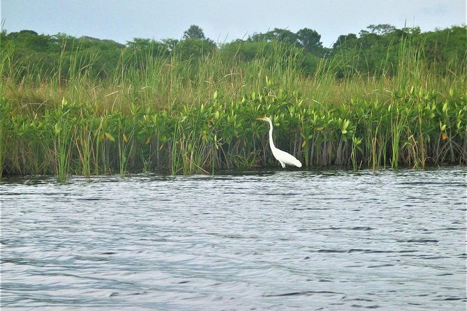 private-ys-falls-and-black-river-safari-from-montego-bay-and-grand-palladium