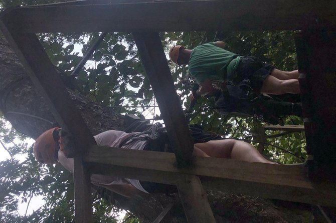 private-zipline-baboon-sanctuary-experience