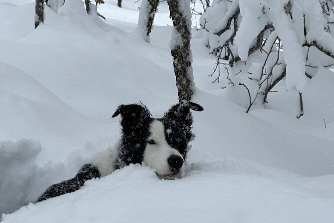 privately-guided-snowshoe-experience-2