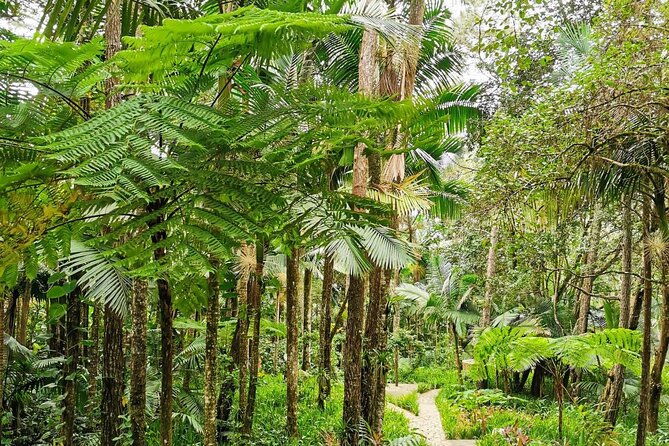 puerto-plata-city-tour-with-the-mount-isabel-rum-chocolate
