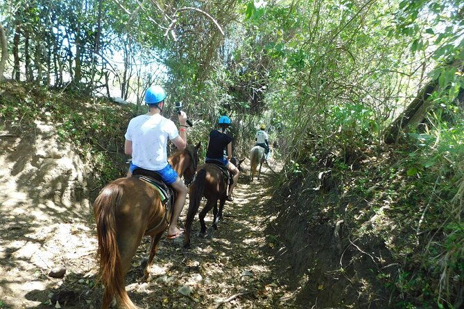 puerto-plata-sightseeing-horse-riding-amber-cove-taino-bay