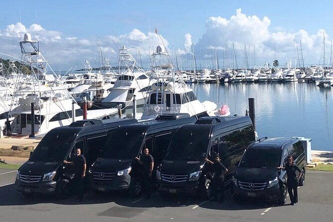puerto-rico-island-wide-private-transfers-14pax-lux-sprinter-van-2