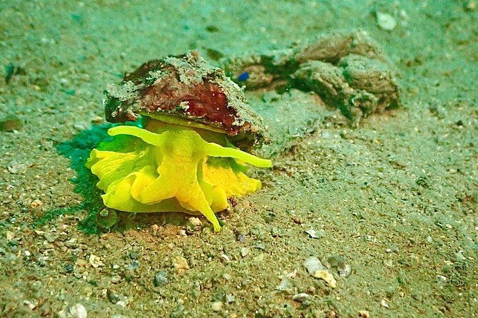 pula-discover-scuba-diving-package-2