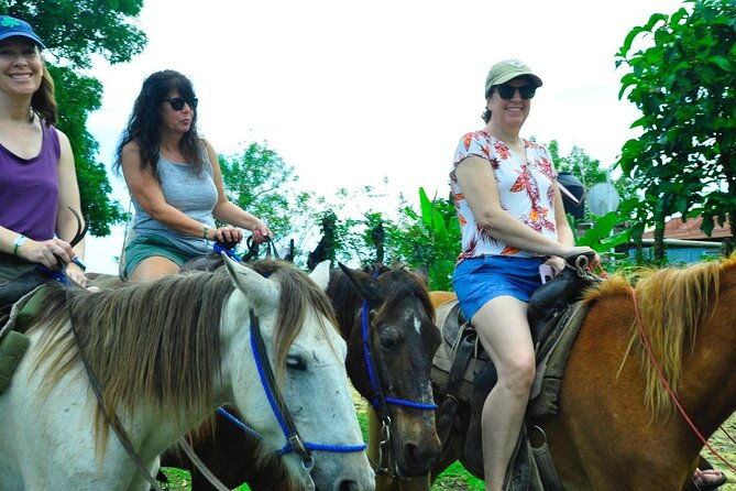 punta-cana-half-day-cultural-safari-with-lunch-and-drinks-2