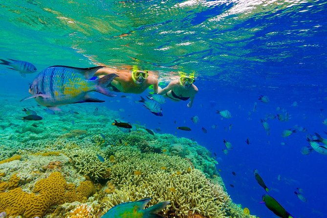 punta-cana-snorkeling-cruise-and-dune-buggy-combo-adventure