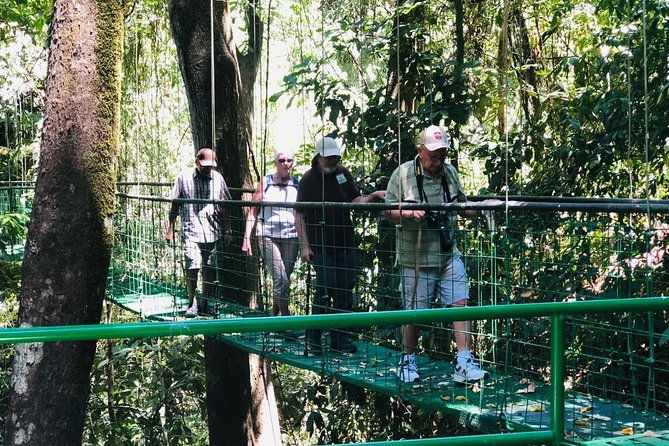 puntarenas-shore-excursion-rainforest-hanging-bridges-skywalk-tour-boat-tour