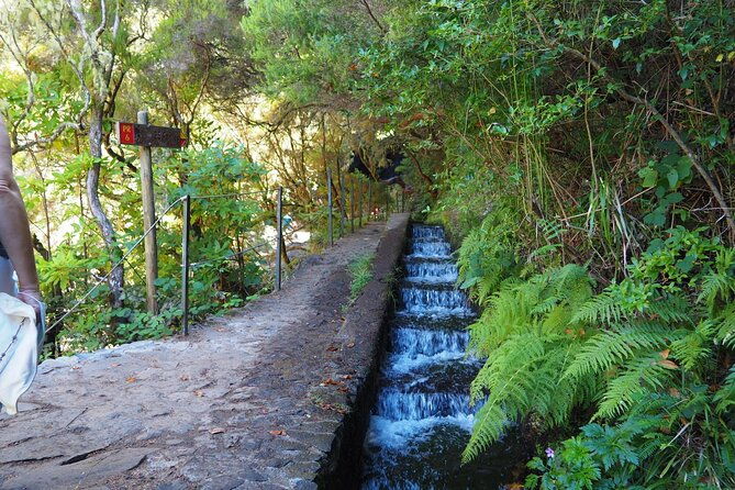 rabacal-hike-25-fontes-risco-levada-self-guided