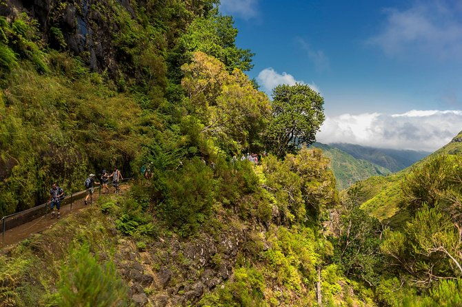 rabacal-levada-das-15-fontes
