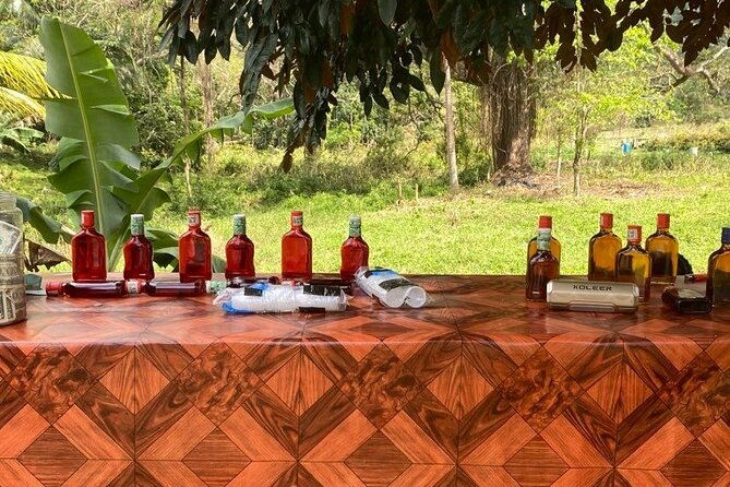 rastasafari-and-negril-tour-with-french-guide