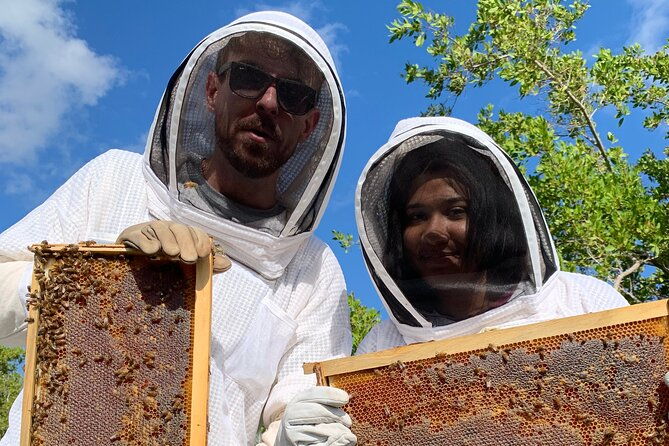 reagans-honey-beekeeping-adventure