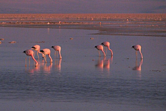 red-stones-salt-flats-and-high-plateau-lagoons