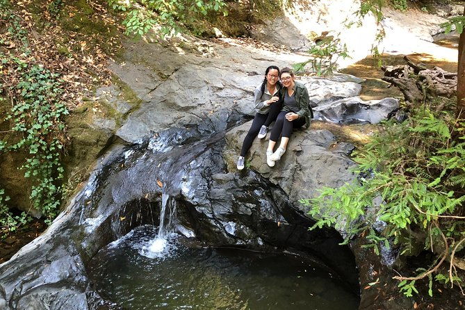 redwoods-of-marin-and-mt-tamalpais-walking-tour-with-local-guide