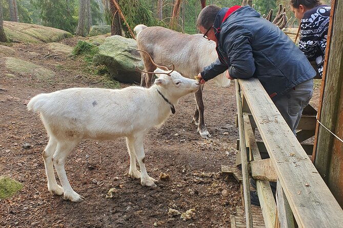 reindeer-park-adventure-private-service