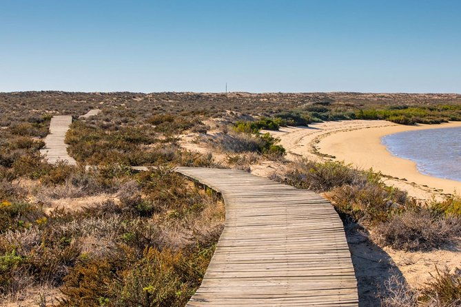 ria-formosa-islands-2h00-private-tour-of-ria-formosa-2