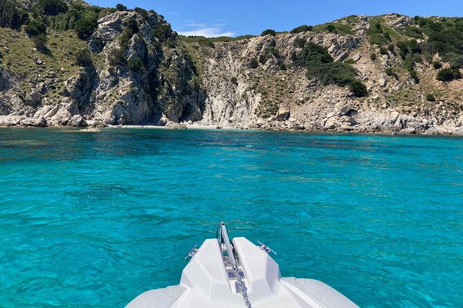 rib-boat-tour-to-the-dolphin-area-up-to-6-people