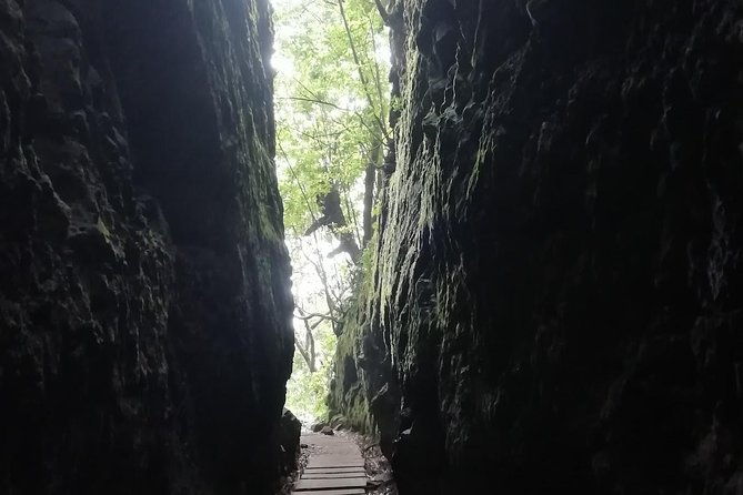 ribeiro-frio-portela-2