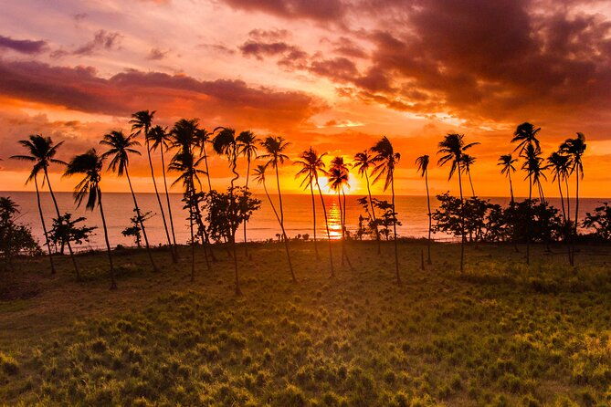 rincon-tour-sunset-nightlife-experience