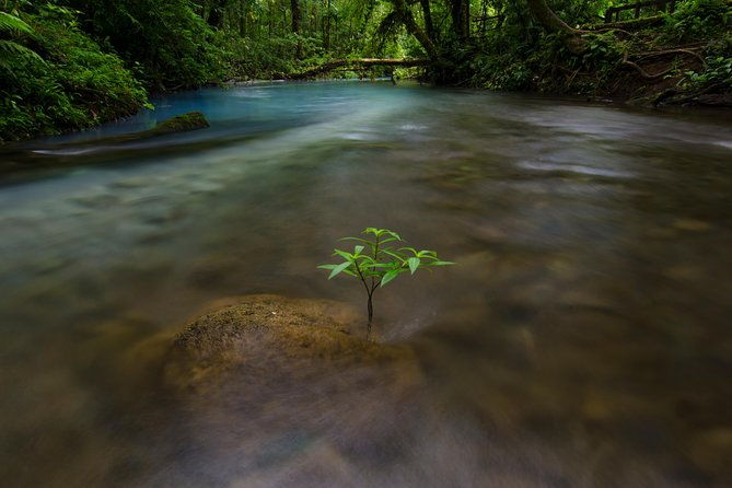 rio-celeste-and-tenorio-volcano-hike-with-lunch