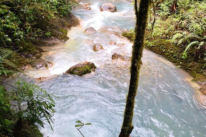 rio-celeste-river-waterfall-hike-and-hot-springs-tour-from-san-jose-costa-rica