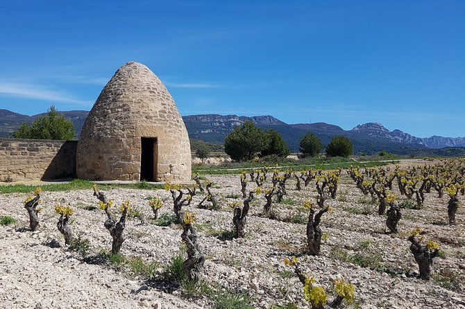 rioja-full-experience-tour-from-san-sebastian-with-lunch