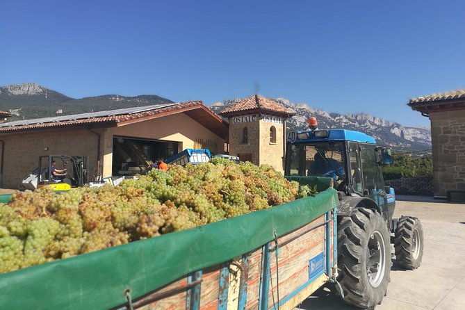 rioja-wine-private-tour-from-san-sebastian
