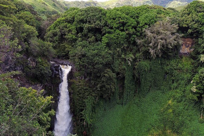 road-to-hana-full-day-tour-with-a-guide