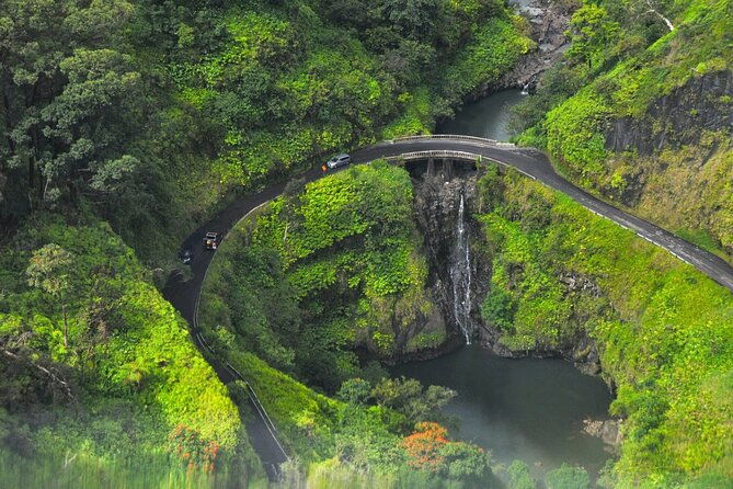 road-to-hana-rainforest-black-sand-beach-waterfalls-lunch-2