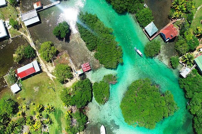 roatan-mangrove-tunnel-culture-tour-on-a-water-taxi-tuk-tuk