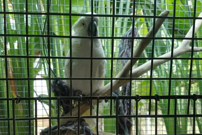 rockland-bird-sanctuary-private-tour-2
